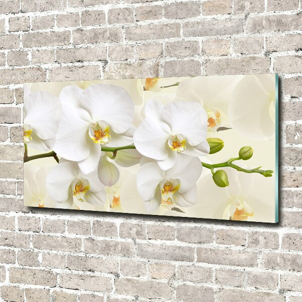 Foto glasbild Orchidee