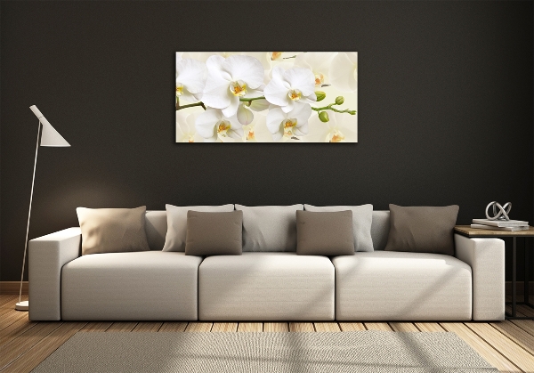 Foto glasbild Orchidee