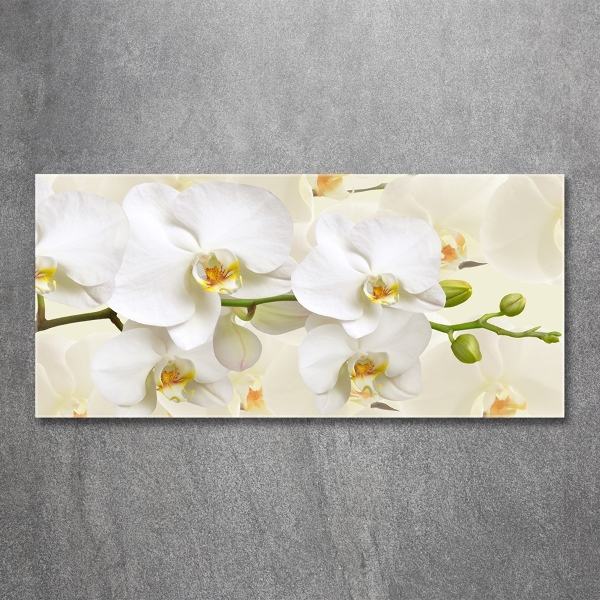Foto glasbild Orchidee