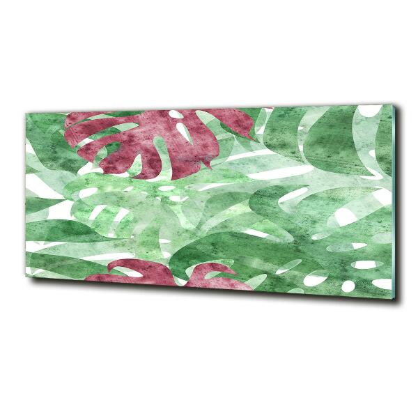 Bild auf glas Monstera