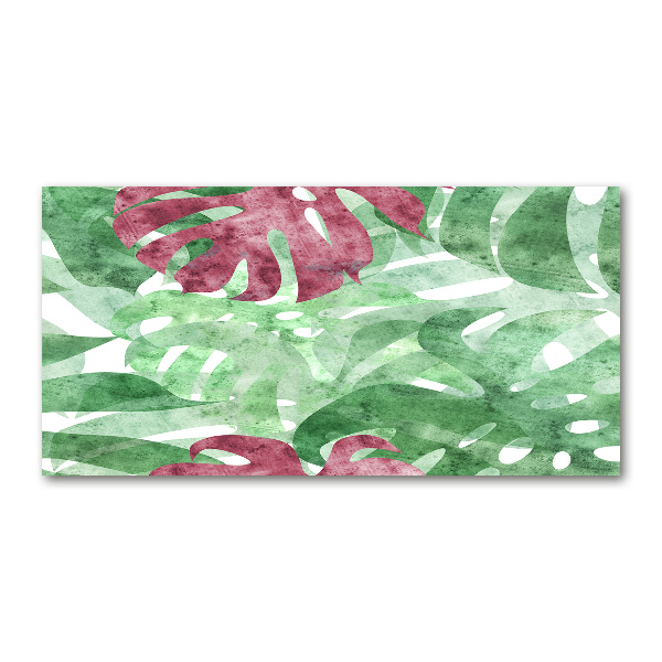 Bild auf glas Monstera