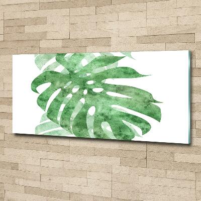 Glasbild Monstera