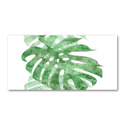 Glasbild Monstera