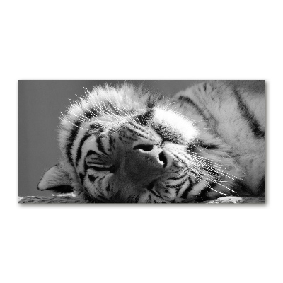 Bild auf glas Schlafender Tiger