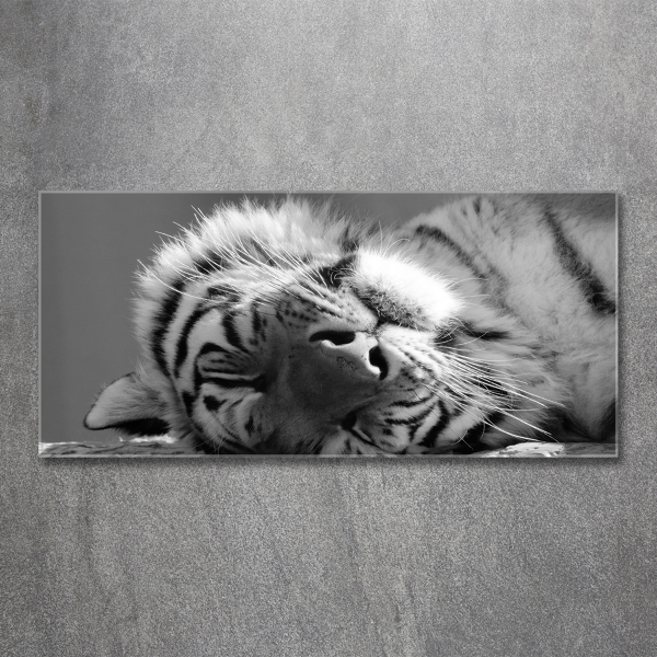 Bild auf glas Schlafender Tiger