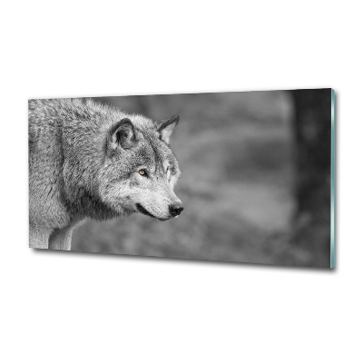 Foto glasbild Grauer Wolf