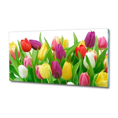 Glasbild Bunte Tulpen