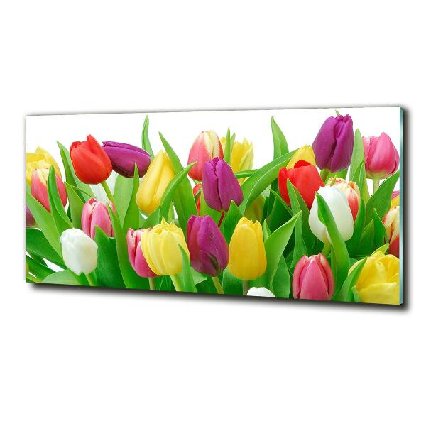 Glasbild Bunte Tulpen