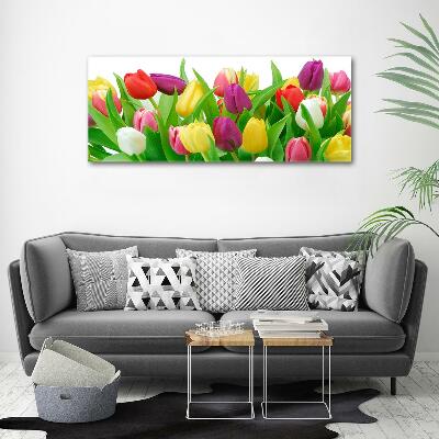 Glasbild Bunte Tulpen