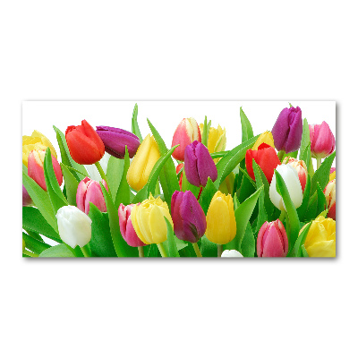 Glasbild Bunte Tulpen