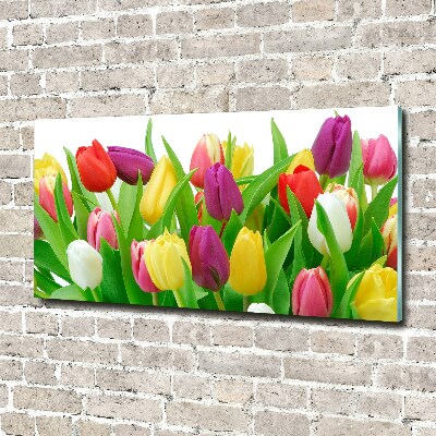 Glasbild Bunte Tulpen