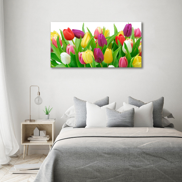 Glasbild Bunte Tulpen