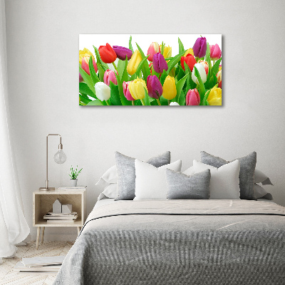 Glasbild Bunte Tulpen