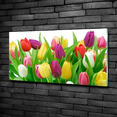 Glasbild Bunte Tulpen