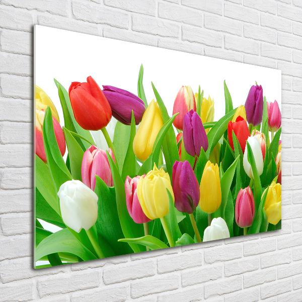 Glasbild Bunte Tulpen