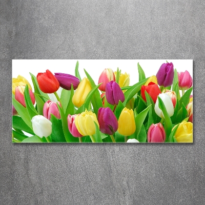 Glasbild Bunte Tulpen