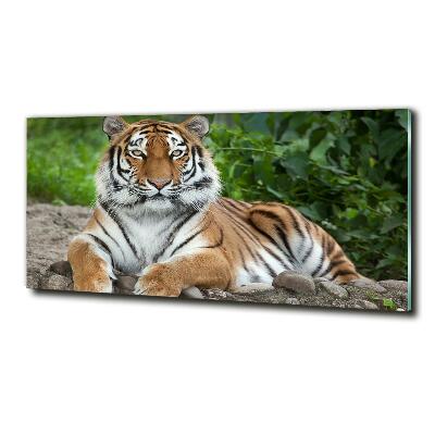 Foto glasbild Sibirischer Tiger