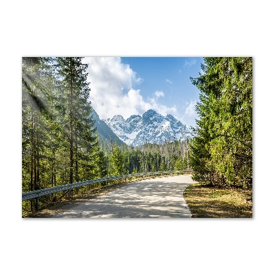 Bild auf glas Tatra-Gebirge-Straße