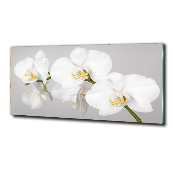 Glasbild Orchidee