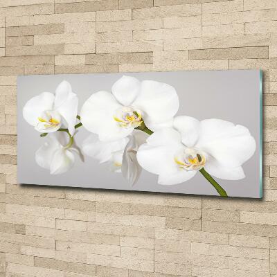Glasbild Orchidee