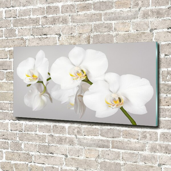 Glasbild Orchidee