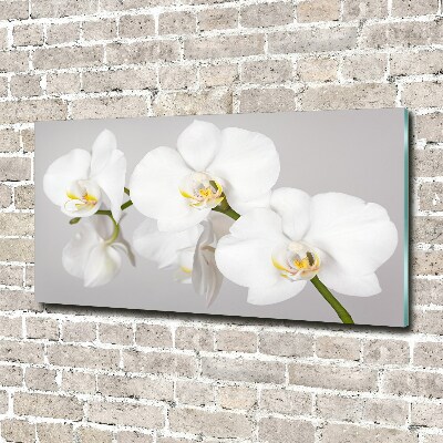 Glasbild Orchidee