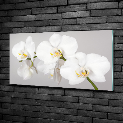 Glasbild Orchidee