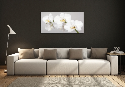 Glasbild Orchidee