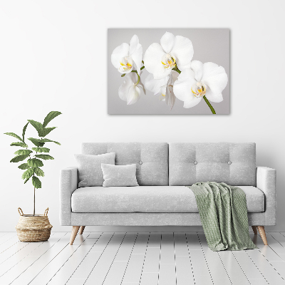 Glasbild Orchidee