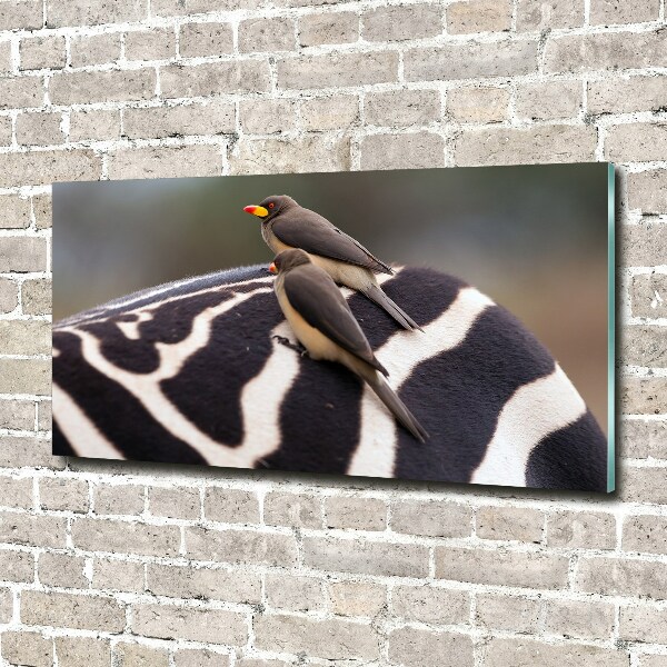 Glasbild Vögel und Zebras