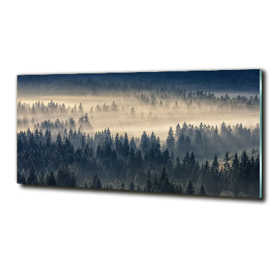 Bild auf glas Nebel über dem Wald