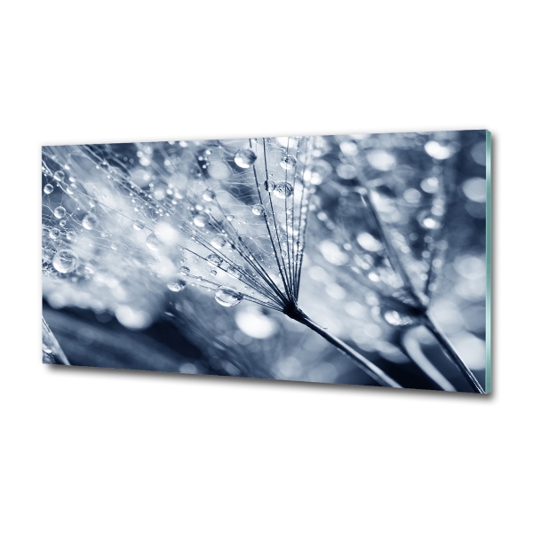 Foto glasbild Löwenzahnsamen