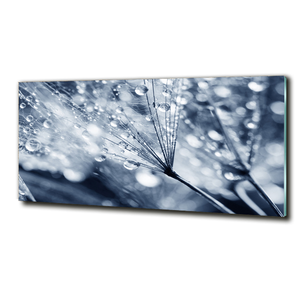 Foto glasbild Löwenzahnsamen