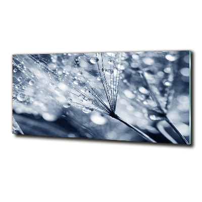 Foto glasbild Löwenzahnsamen