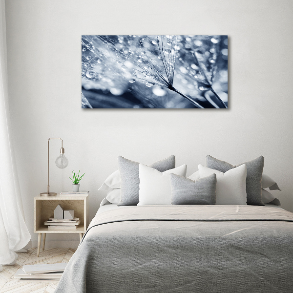 Foto glasbild Löwenzahnsamen