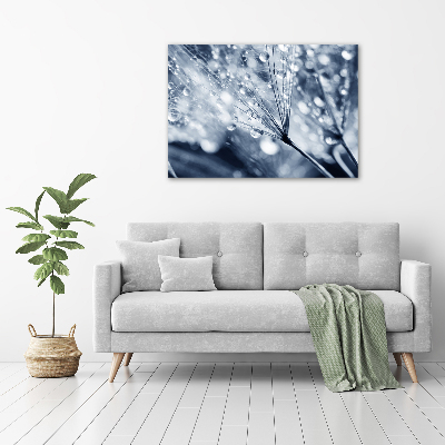 Foto glasbild Löwenzahnsamen