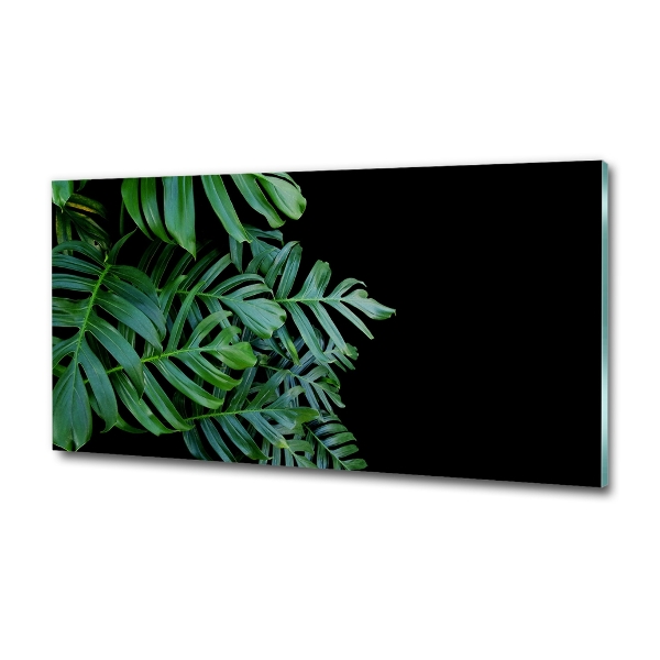 Glasbild Monstera