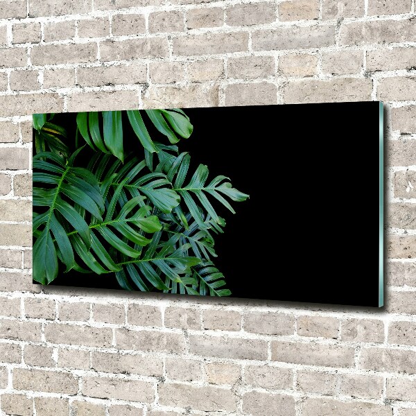 Glasbild Monstera