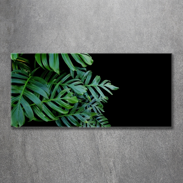Glasbild Monstera