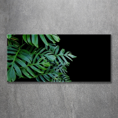 Glasbild Monstera