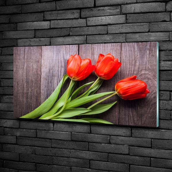 Bild auf glas Rote Tulpen