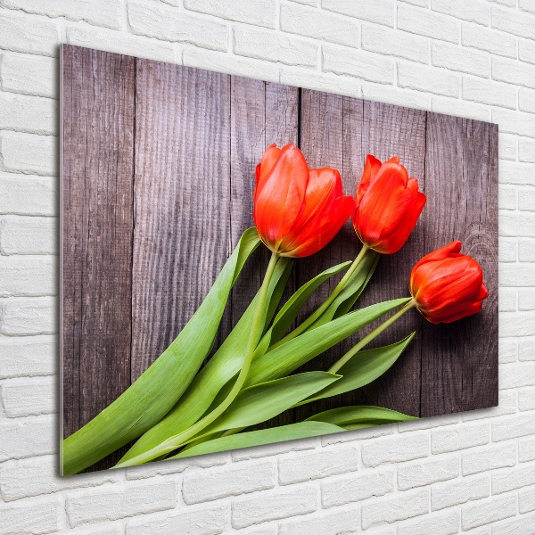 Bild auf glas Rote Tulpen