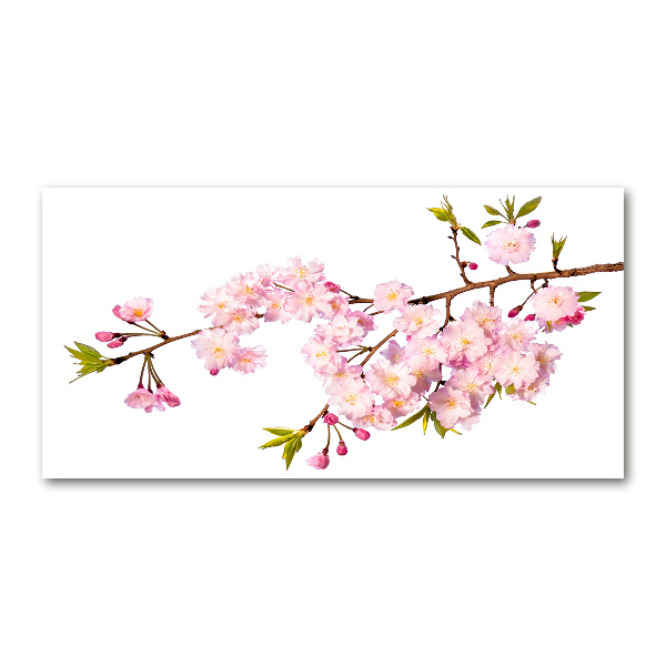 Foto glasbild Dornen