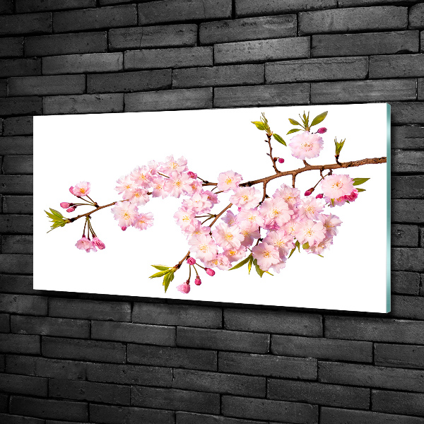 Foto glasbild Dornen