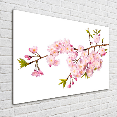 Foto glasbild Dornen