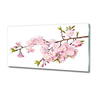 Foto glasbild Dornen