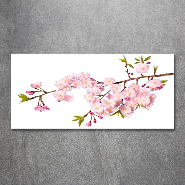 Foto glasbild Dornen