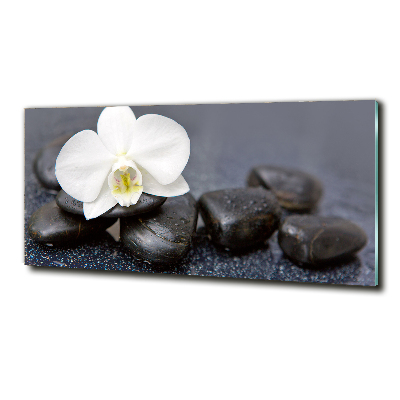 Foto glasbild Orchidee