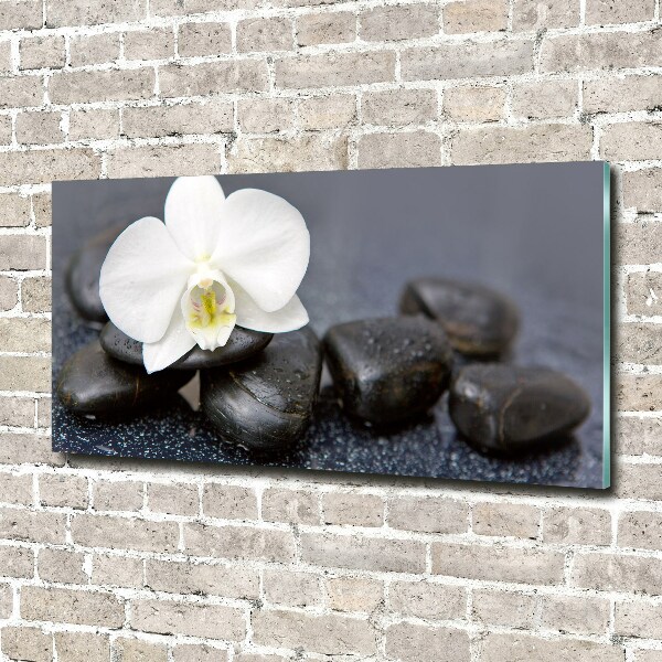 Foto glasbild Orchidee