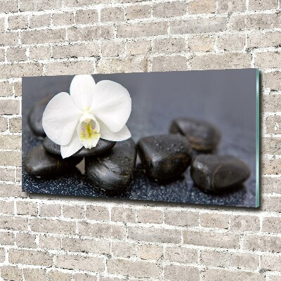 Foto glasbild Orchidee